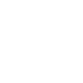 Flash 01