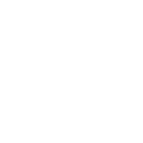 Flash 21